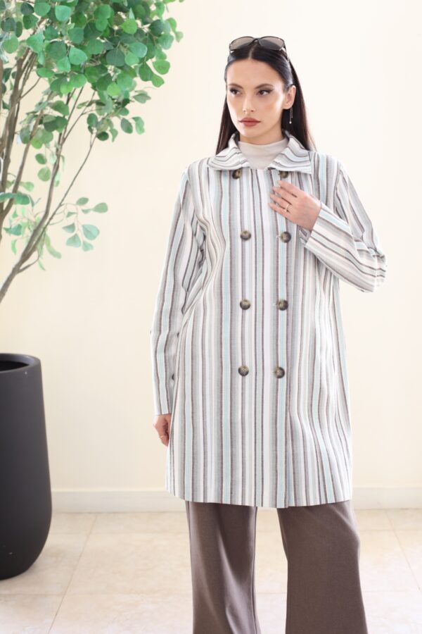 BEIGE BROWN STRIPE JACKET